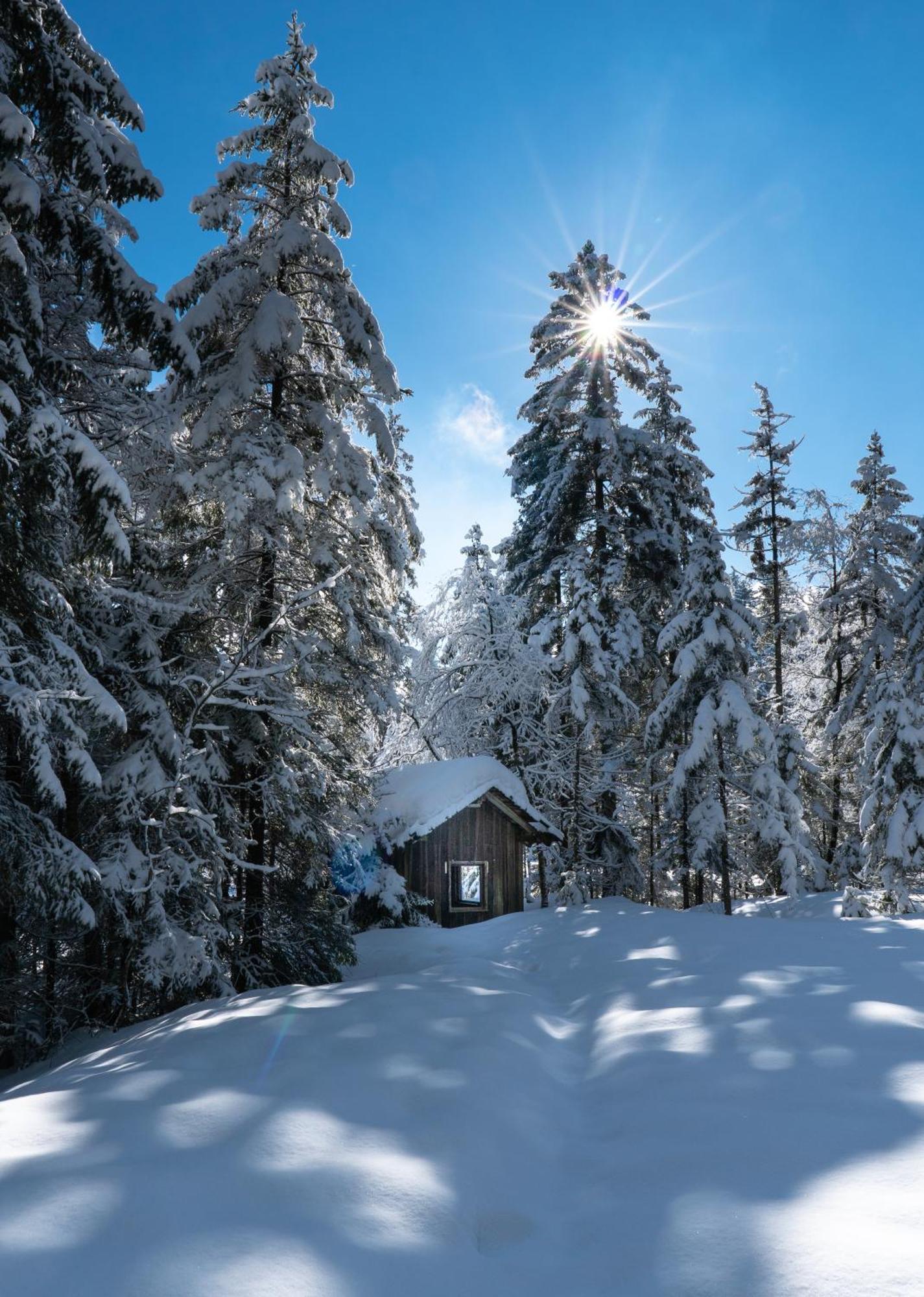 Ferienwohnung Bergpfote - Hund Herzlich Willkommen Scheidegg Extérieur photo